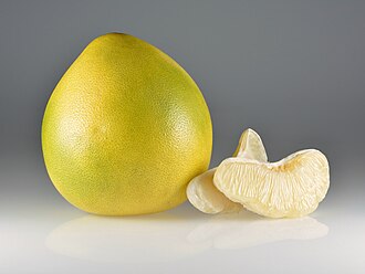 জাম্বুরা